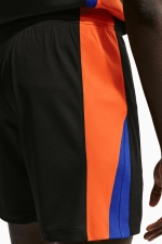 Шорты Nike Inter Milan x ACG 25/26 4th Stadium - черный