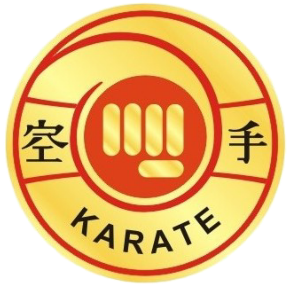 Абонемент каратэ (1 час × 2 р/нед.)