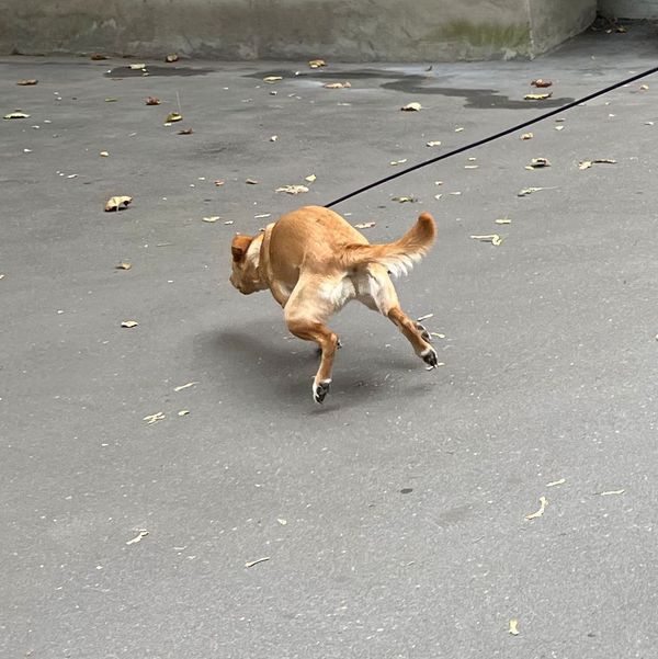 Рубашка на молнии #5 изумрудная - фото 7