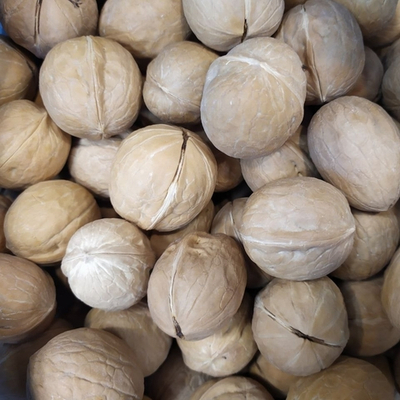 Грецкий Орех Неочищенный (Китай)