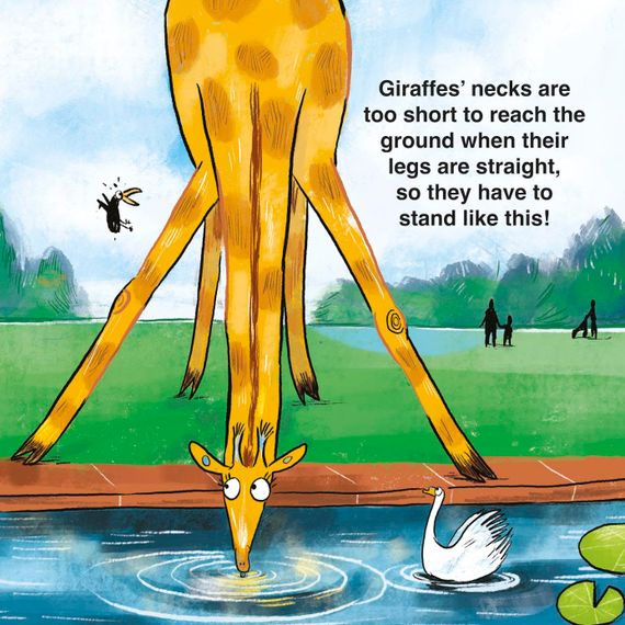 How to Bath a Giraffe