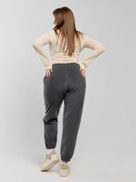 Брюки Блик-2 Виотекс ГРАФИТОВЫЙ