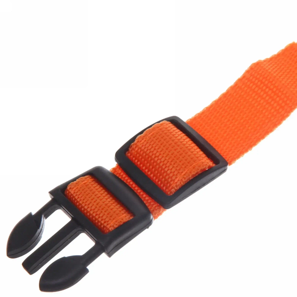 Ошейник с подсветкой и кольцом для жетона для малых пород собак «Бро видно», цвет оранжевый, размер S - 2,5*30см (лейбл)