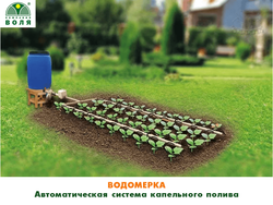 Автоматический капельный полива Водомерка 4м (Водомерка-ЭКО +контроллер Воля с LCD-экраном)