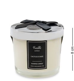 FumaRe KV-02 Свеча в стекле с крышкой «Кактус и шалфей»