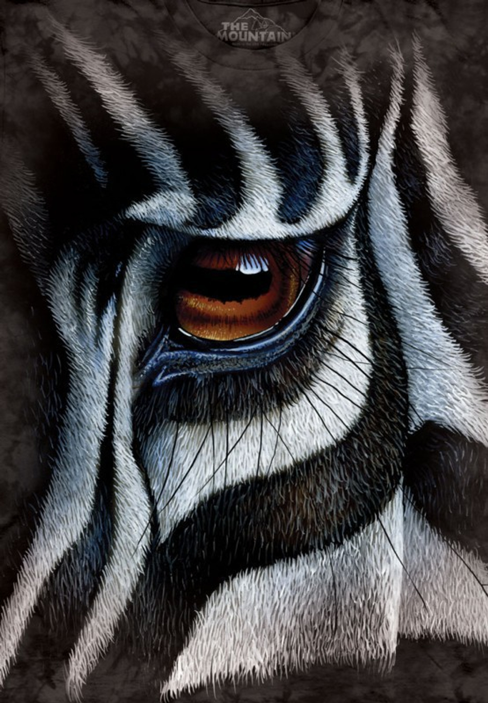 Zebra Eye