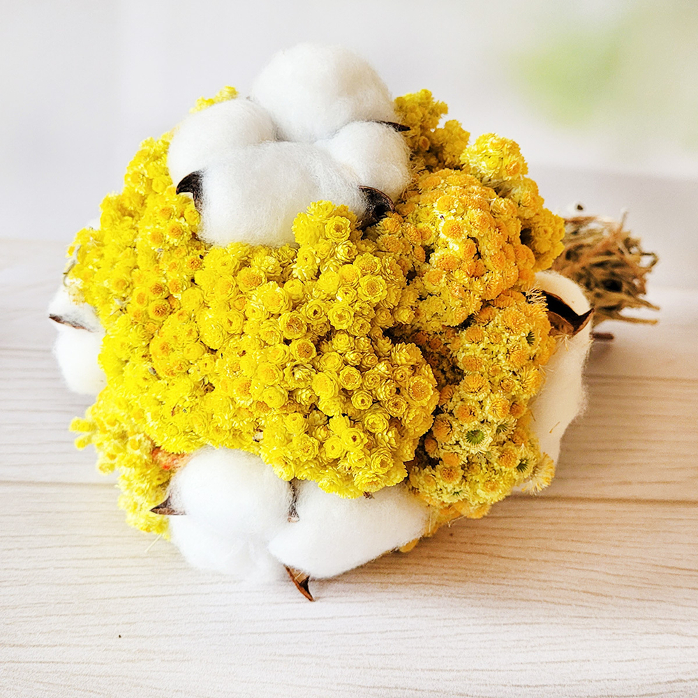 Букет сухоцветов Хлопок и Бессмертник 20х18 см