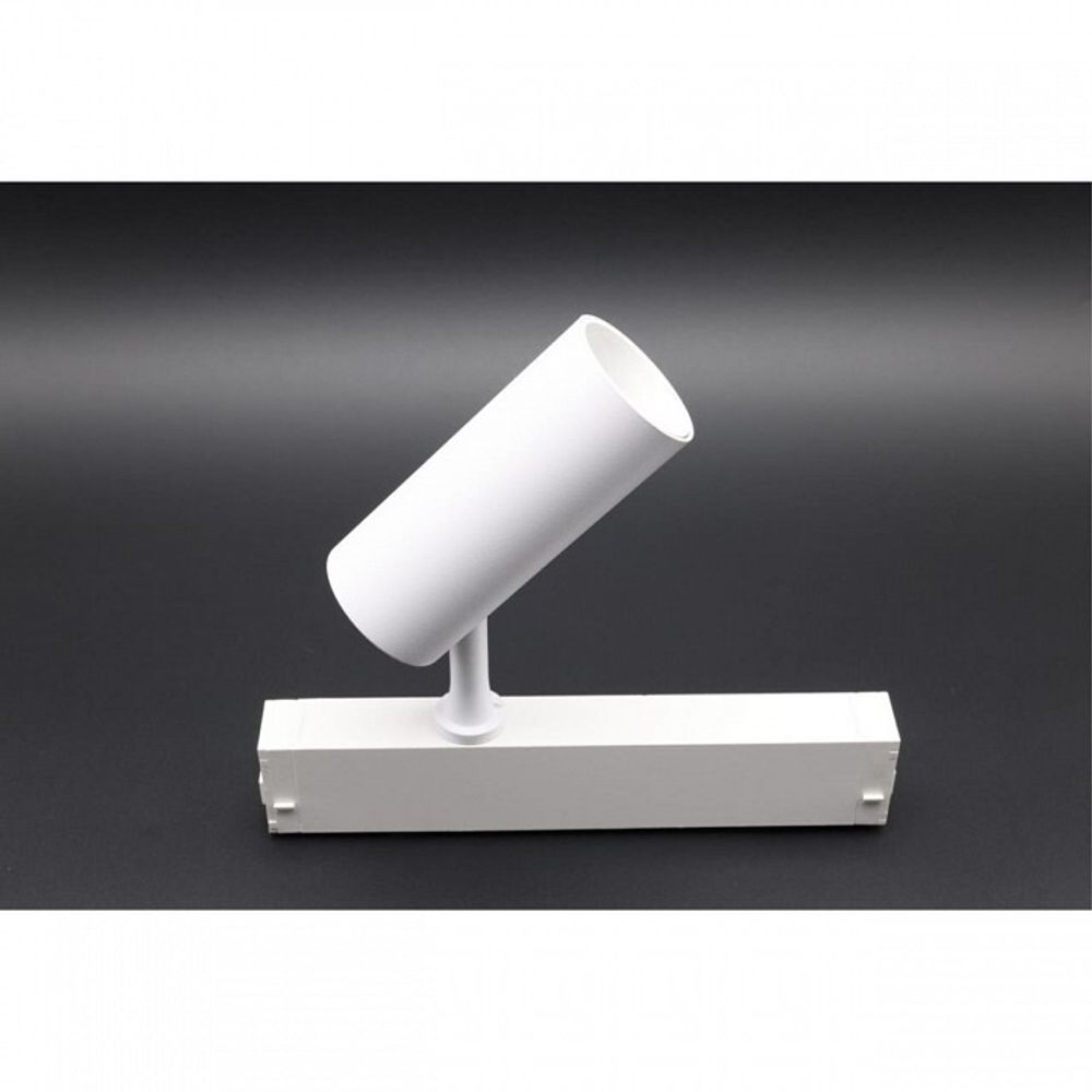 Светильник на штанге Aployt Magnetic track 220 APL.0205.10.10