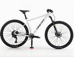 Велосипед 29" TIMETRY TT255 ск.10 белый