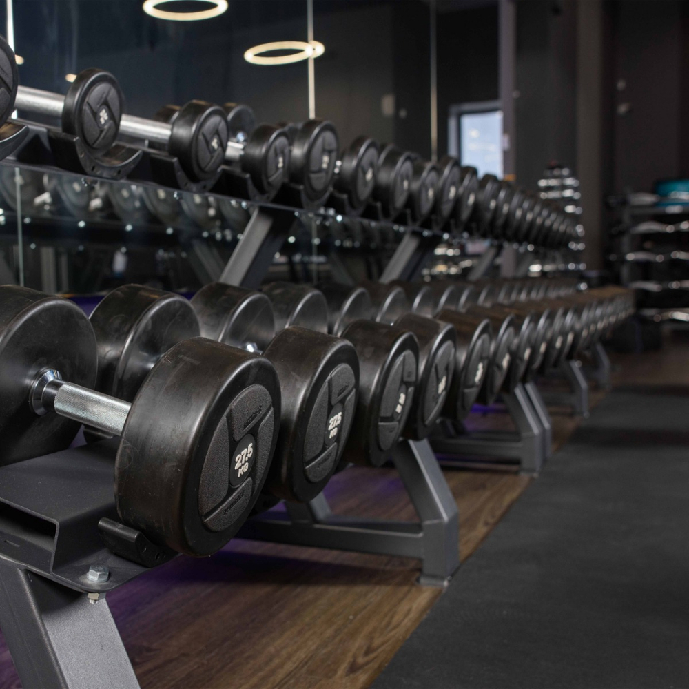 Гантельный ряд силовой (шаг 2,5 кг, 5 пар) PROFI-FIT 27,5-37,5 кг