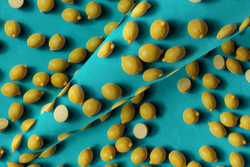 Микровелюр Botanica 05 / Ботаника 05