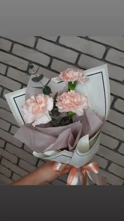 Комплимент