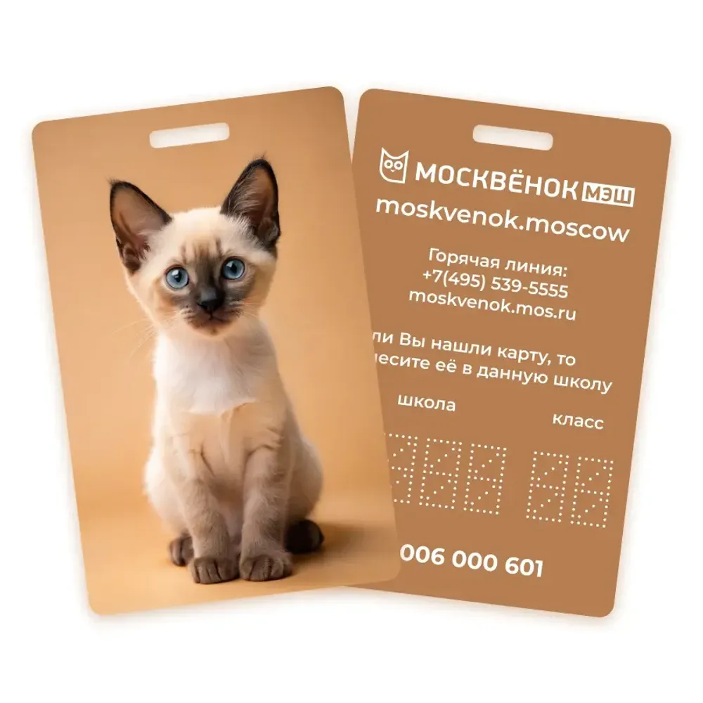 Карта Москвёнок CATS №7 (проход + питание)