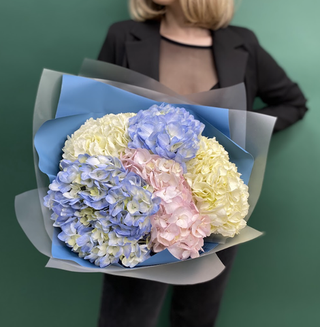 Bouquet of 5 hydrangeas