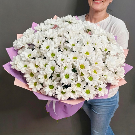 Букет из 17 кустовых хризантем сорта "KENNEDY WHITE"