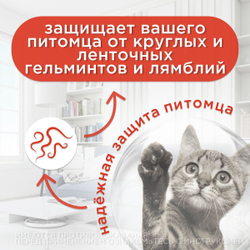 Таблетки от гельминтов для кошек Празицид APICENNA, 6таб. Празиквантел/Пирантел