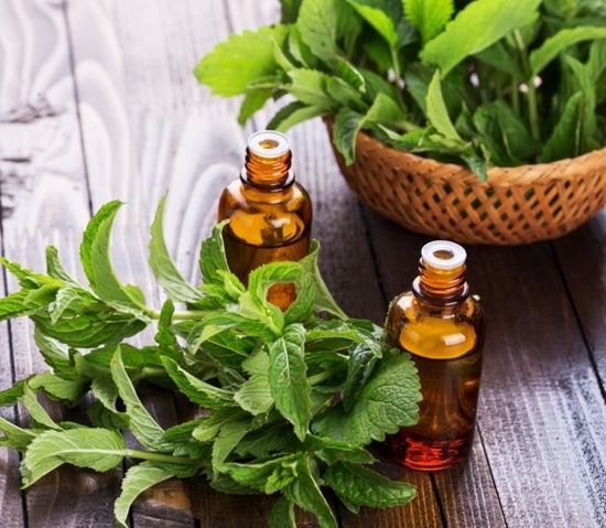 Эфирное масло Мята. 10 мл.