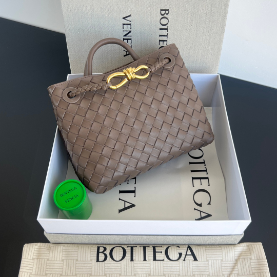 Bottega Veneta Small Andiamo 25 cm