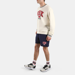 Шорты спортивные мужские REEBOK RBK COLLEGIATE SHORTS