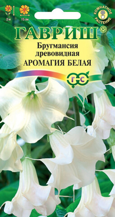 Бругмансия Аромагия белая 3шт Гавриш