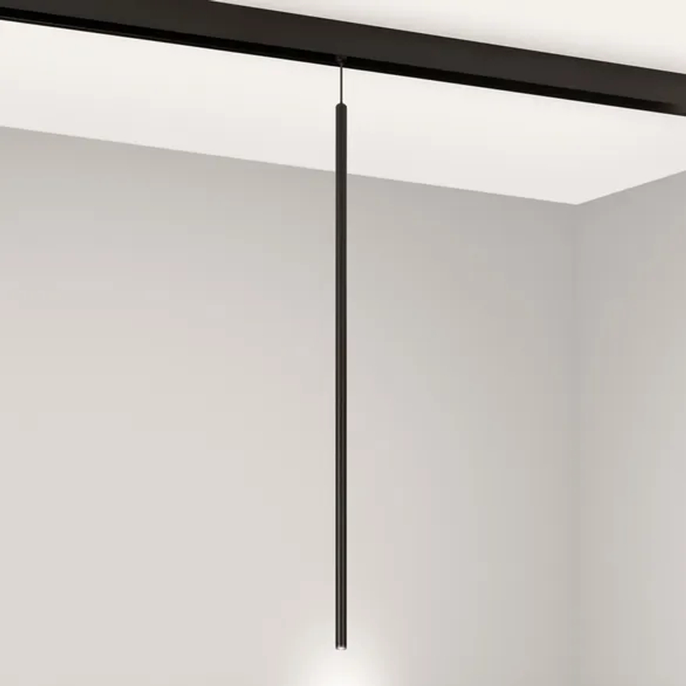 Светильник MAG-ORIENT-SPOT-HANG-L600-R12-2W Day4000 (BK, 20 deg, 48V) (Arlight, IP20 Металл, 5 лет) 044501