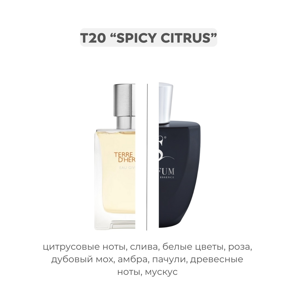 T20 SPICY CITRUS по мотивам Terre d'Hermes Eau Givree - Hermès, парфюмерная вода