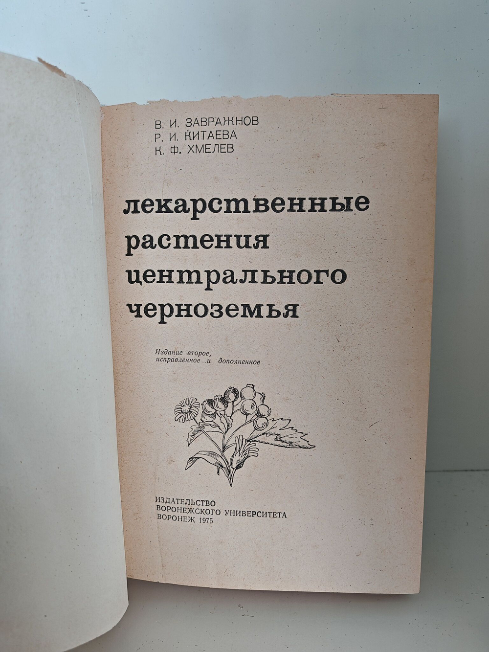 Лекарственные растения центрального черноземья