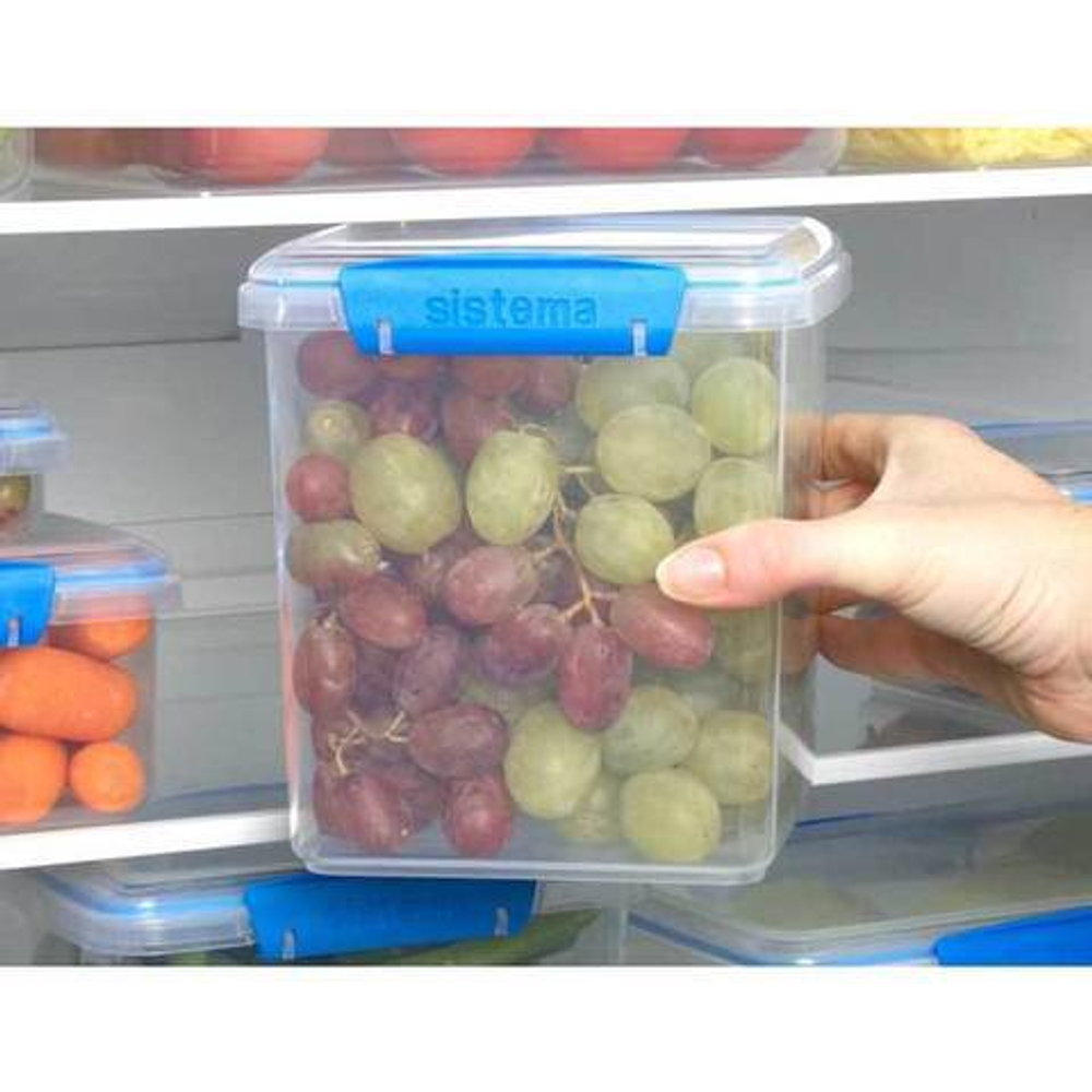 Контейнер для печенья 2.35л Sistema Fresh синий