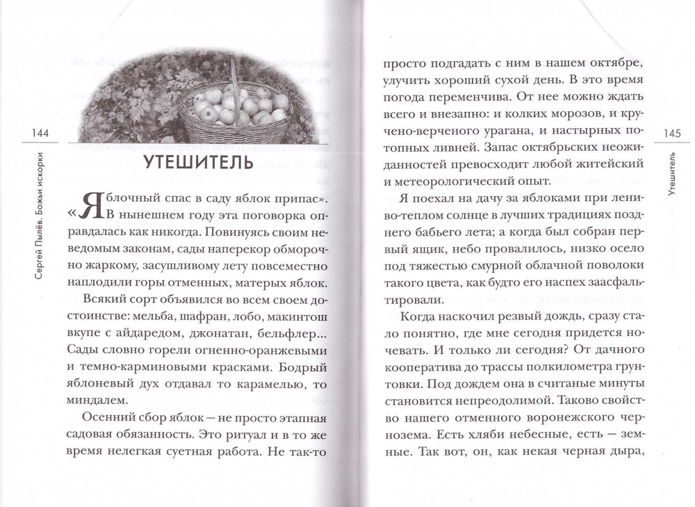 Божьи искорки: Невыдуманные истории. Сергей Пылёв