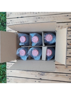 Бутылка стеклянная 1 литр , 43мм , 6 штук