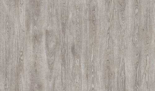 «Westerhof Эльбрус 33» Сол Грис