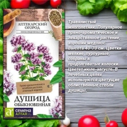 Набор семян ароматной зелени для Вашего сада