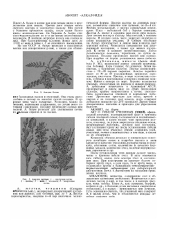 Словарь-справочник пчеловода | Н.Ф. Федосов