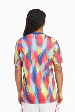 Футболка adidas Arsenal FC 25/26 Pre-Match - многоцветный