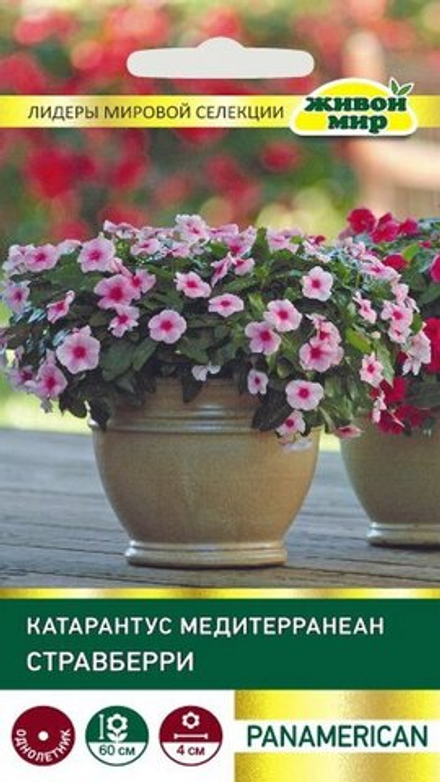 Kaтapaнтyc "ЖМ. Meдитeppaнeaн Стpaвбeppи" 5шт, США.