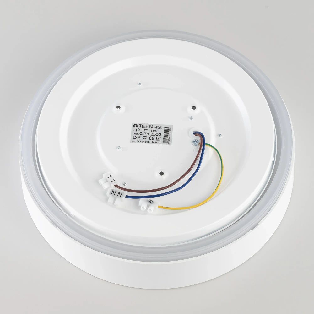 Citilux BOSS CL751250G LED RGB Светильник с пультом Белый