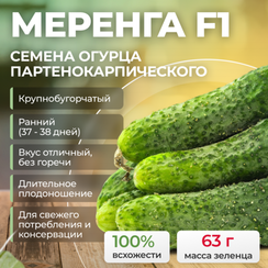 МЕРЕНГА F1 семена огурца (Seminis | Alexagro)
