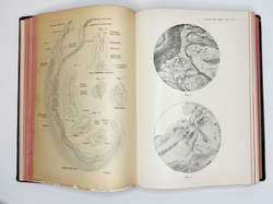 Eulenburg A., проф. Эйленбург А  Реальная энциклопедия практической медицины в XVII томах. 1909-1915