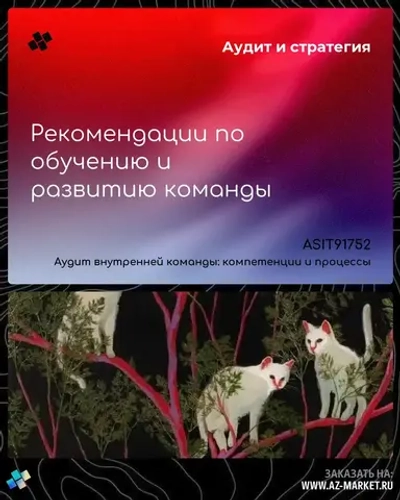Рекомендации по обучению и развитию команды