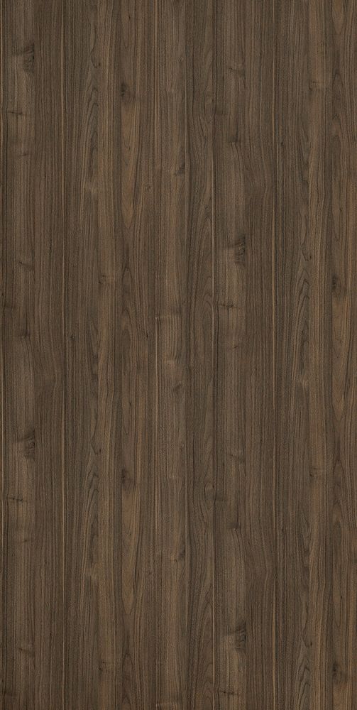 Тёмный кипарис