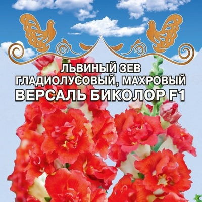 Львиный зев гладиолусовый, махровый  Версаль Биколор F1