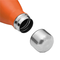 термобутылка PARKY