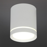 Накладной светодиодный светильник Omnilux Capurso OML-102409-05