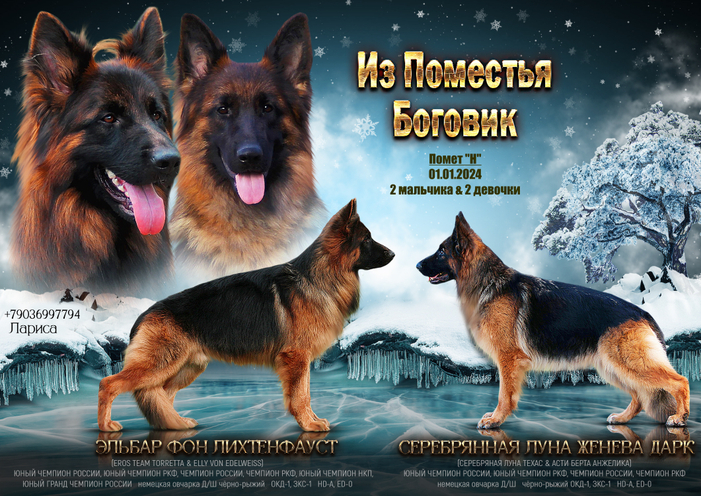 Помет "Н"