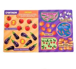 Книжка картонная с окошками «Цифры»