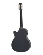 ARIA ARIA-101CE Matte Black
