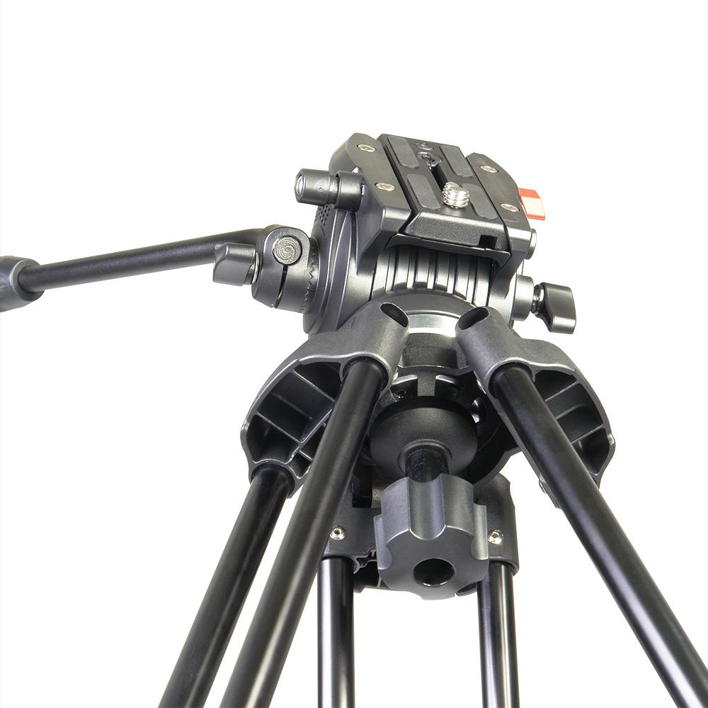 GreenBean VideoCraft - 418