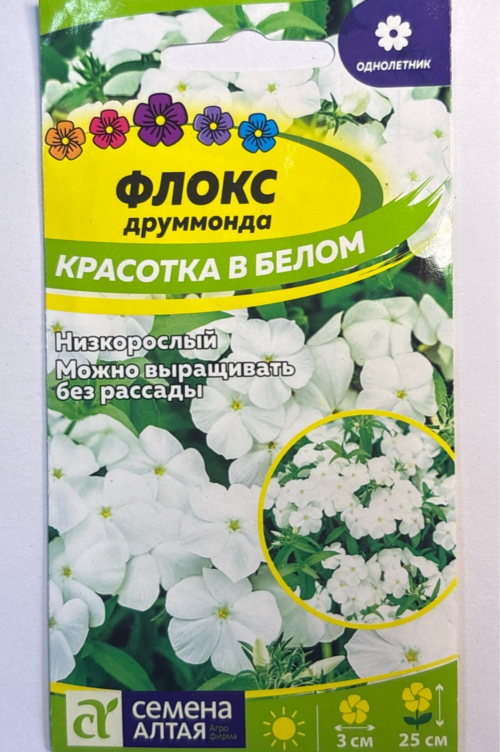 Флокс Красотка в белом друммонда 0,1 г СМЦ-284