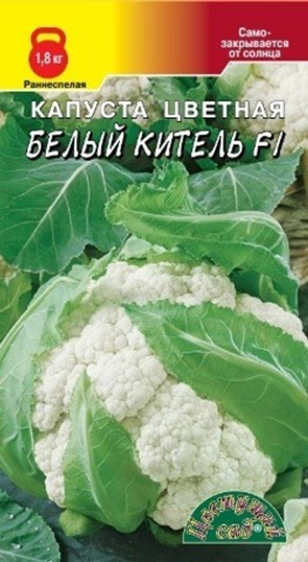 Капуста цв. Белый Китель ЦветСад