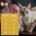 Влажный корм для кошек Brit Premium 0,085кг лосось и форель в соусе 14 паучей